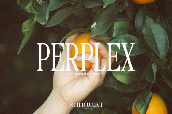 Perplex Font: A Modern Serif for Digital Design