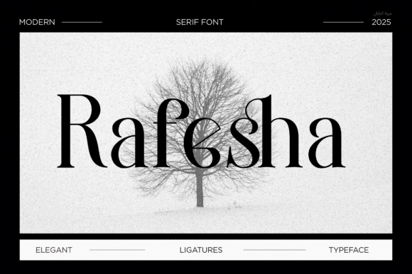 Rafesha: A Modern Serif Typeface for Web Design